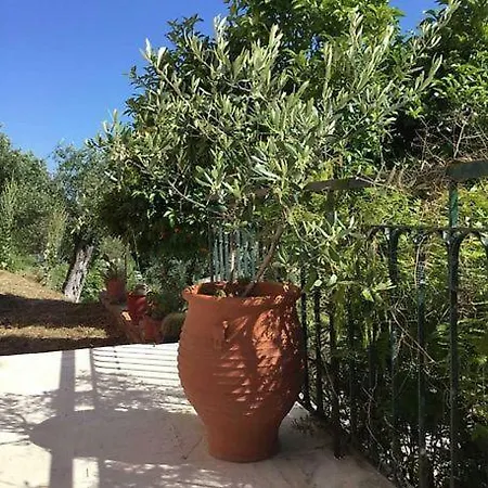 Artemis Corfu Appartamento Pelekas